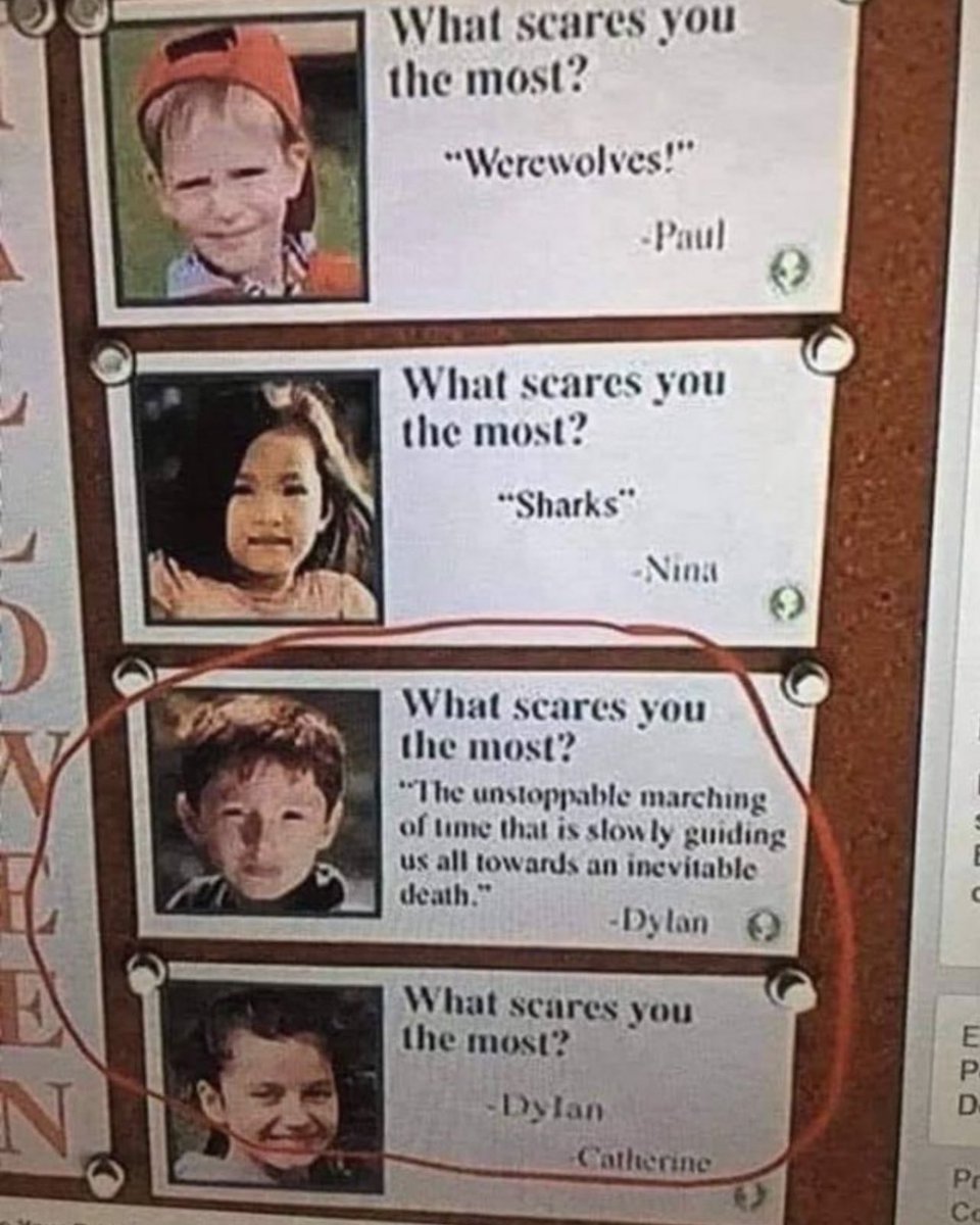 Out of Context Human Race tweet media