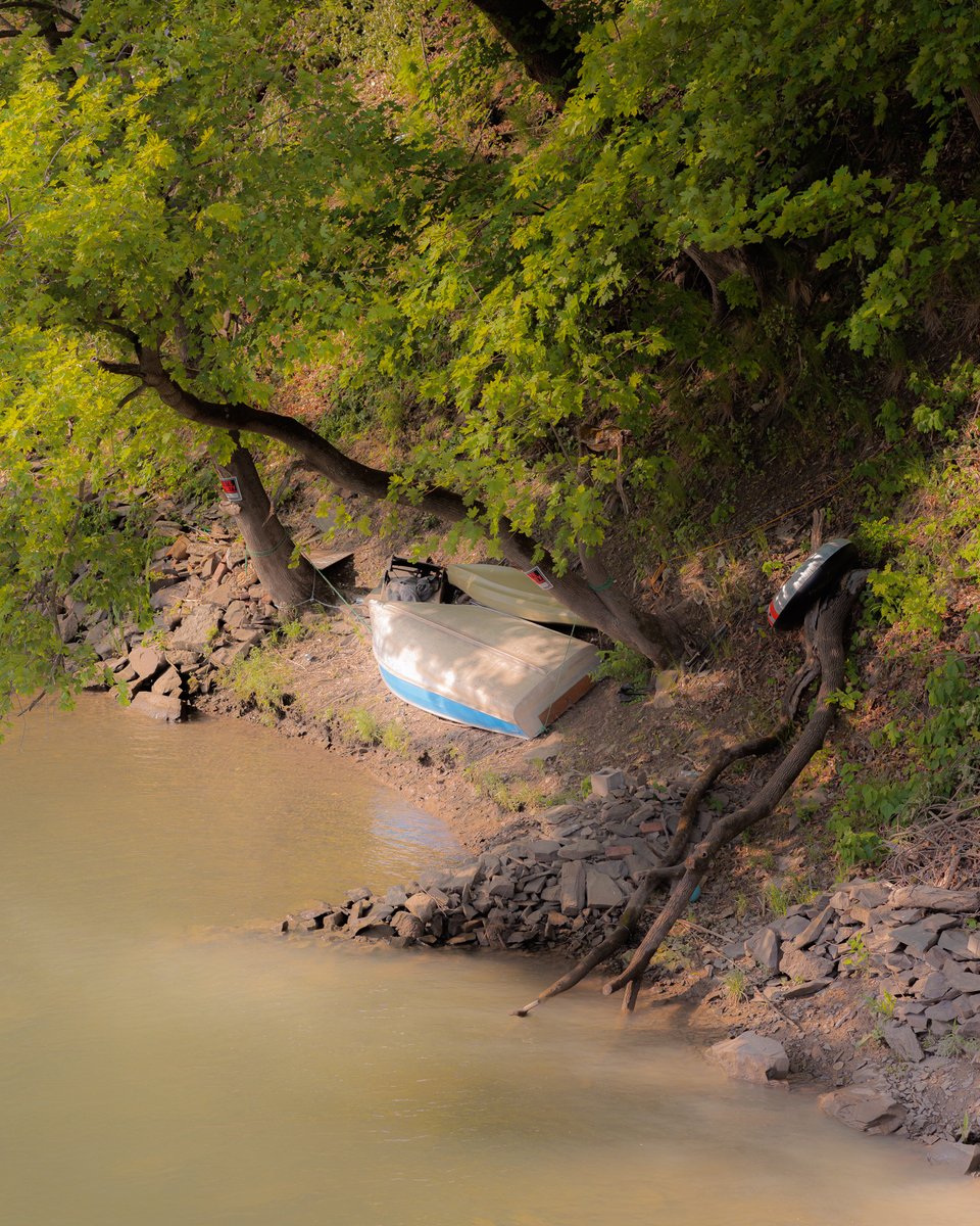 Dream walking over the creek, Catskill

#photooftheday #catskill #dream #pig #observed #lookingaround #upstate #walk #dreamwalk  #somewheremagazine #hudsonvalley #kaaterskillcreek #catskillny #catskills