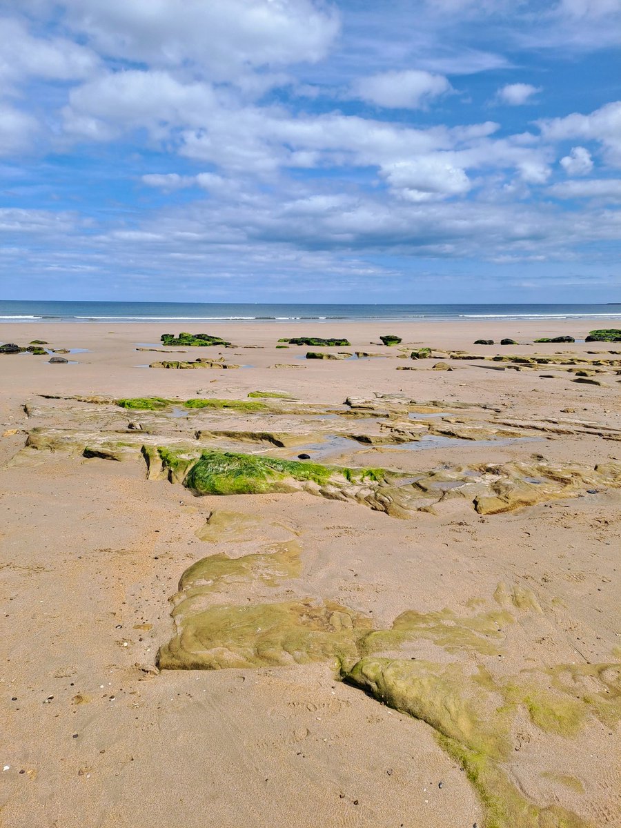 Helen Challis tweet media