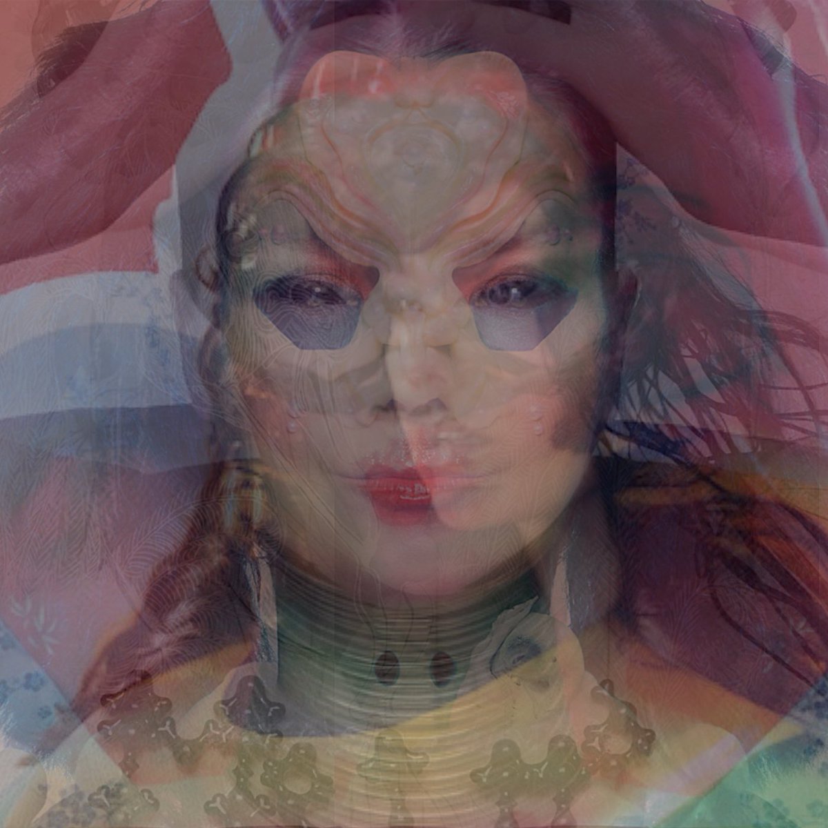 Björk : a thirty year career