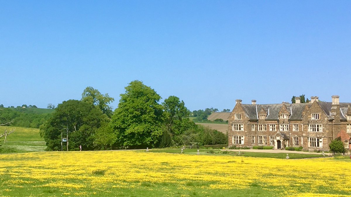 A sea of buttercups on my bike ride….<a href="/LaundeAbbey/">Launde Abbey</a>
