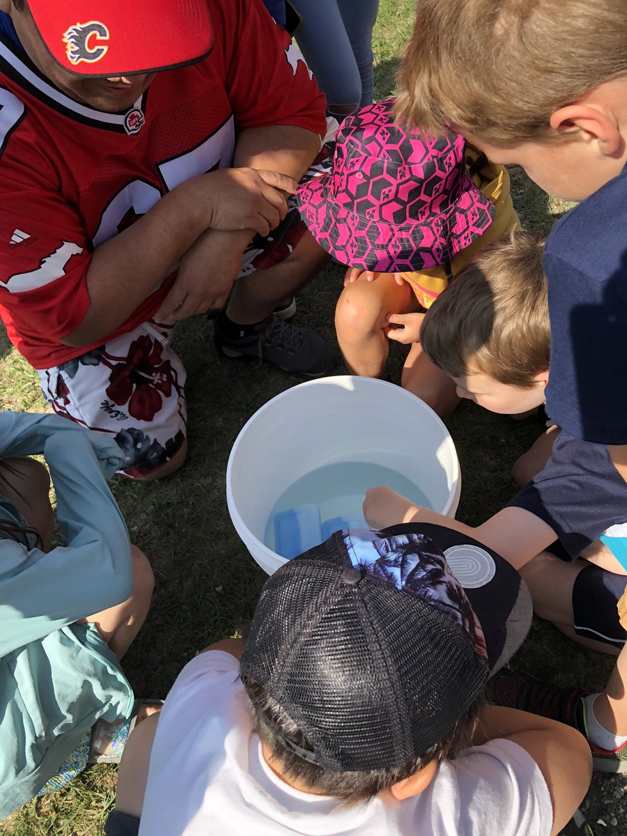 Panorama Hills School CBE tweet media