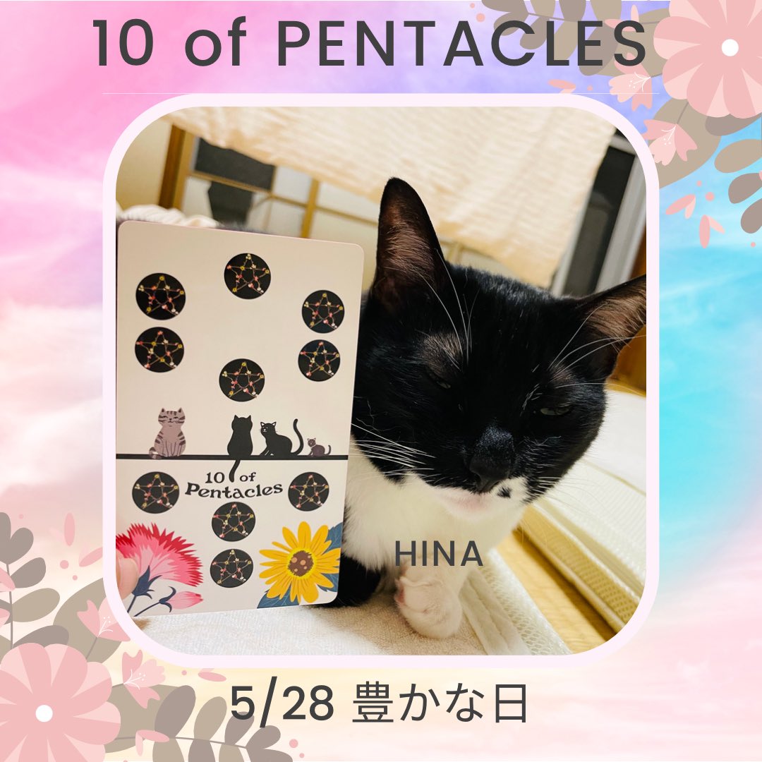 oraclerinko's tweet photo. 5/28豊かな日🪙誰かから受け継ぐことで豊かになる日✨それはお金や物、マインドかもしれません。いずれにしろ、これからのあなたを発展させてくれるものでしょう🥰今あなたに与えられている役目を全うし、大切な人を大事にしましょう🫶 #10ofPENTACLES #今日もおにぃにゃんと遊ぶニャ #タロット #猫 https://t.co/AdQoVQl96Q