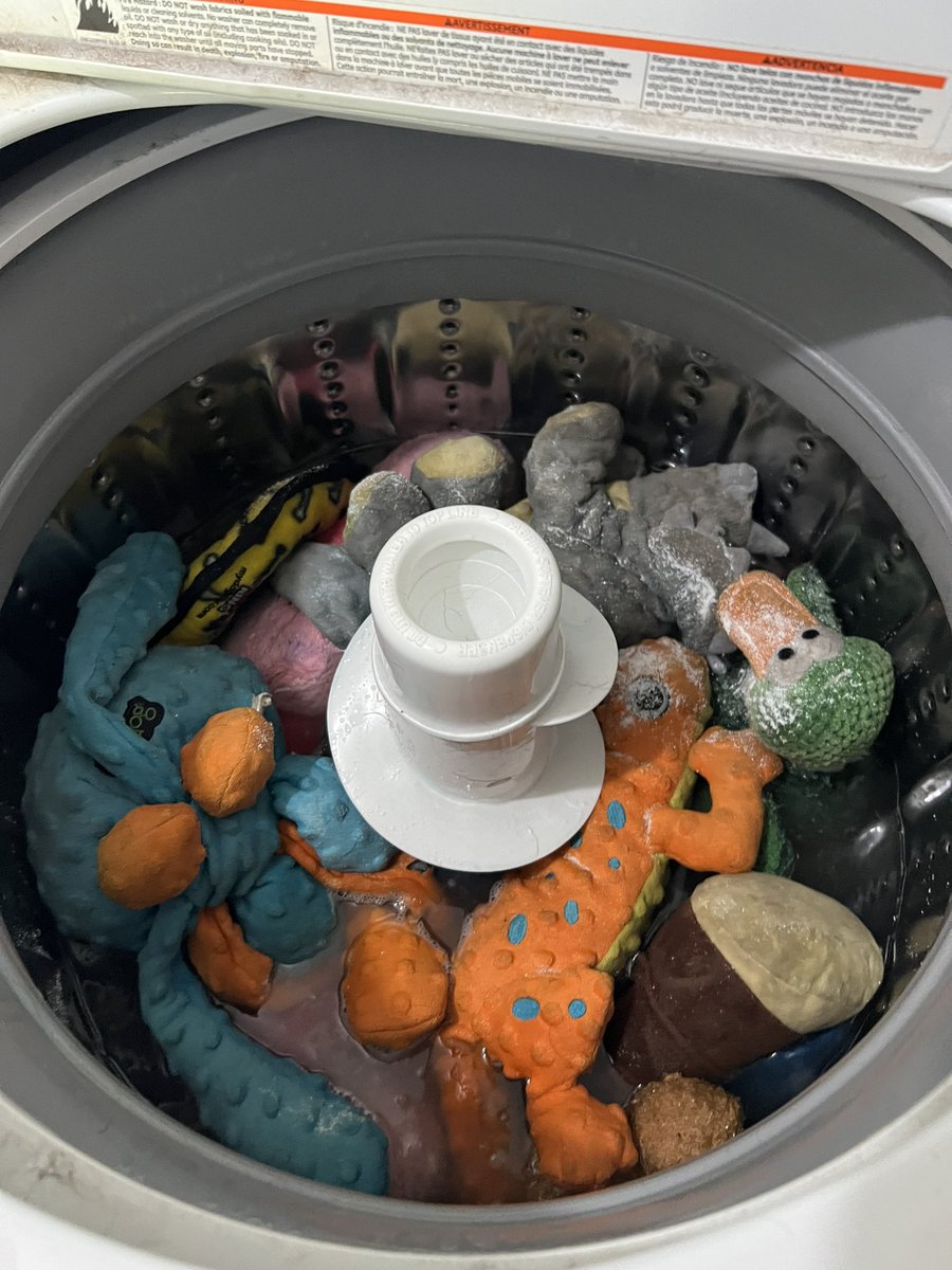 kallen4775's tweet photo. A sad day as we had to wash all the toys we are taking with us. Can't take any hidden bugs or fire ants when we move. Sigh.. So sorry Coop A mom's gotta do what a mom's gotta do ππ#dogsoftwitter #escapefromFlorida https://t.co/3J44zl0NVS
