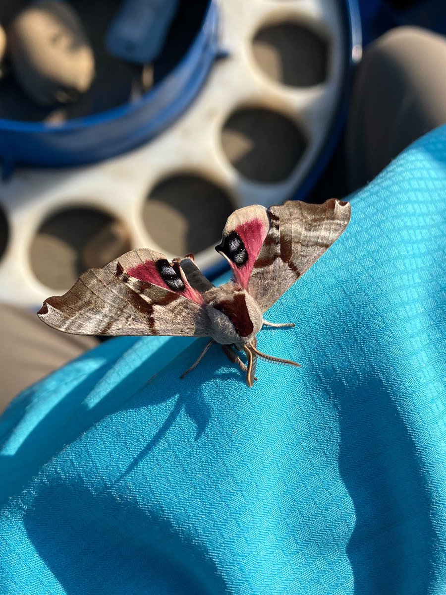 Husain - UE Local 1105 tweet media