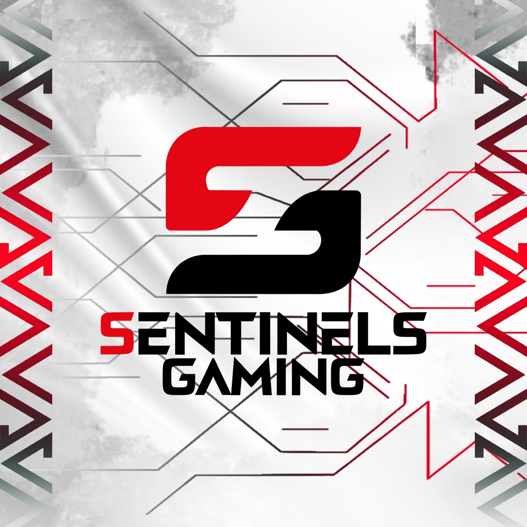 Sentinel's Gaming on Twitter: 