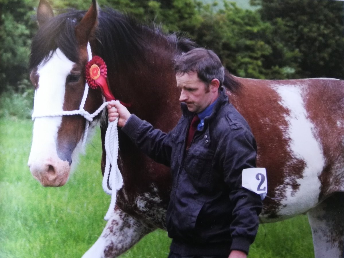 Same pairing, 11 years apart. I'll leave it up to the reader to decide which one has weathered the best.  #TorfootClydesdales 
@robwdrummond