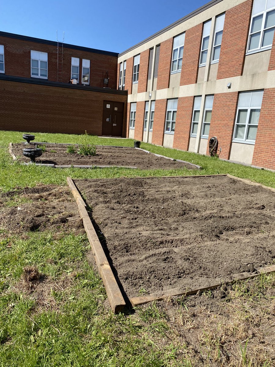 @paonessaspeeps @WoburnEco @WoburnJunior @woburndonaldson @fabandthefuria @LC3_TDSB @LiveGreenTO @EcoSchoolsTDSB Hear hear! Thank you Ms Fabro, you are an amazing partner in the woburn ci community garden. The woburn CI landscaping team has been hard at work preparing the two plots for your classes. Ready when you are! Thanks to Ms O’Grady of Woburn CI