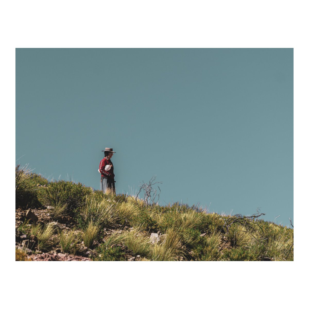 Caro_heritier's tweet photo. "Solo recuerdo la emoción de las cosas."
(Antonio Machado)
#nikonphotography
#nikonphotographer
#nikonphoto
#Jujuy
#trekkinglovers
#ttekkinargentina
#IncaCueva
#mountainsofinstagram
#mountainsphoto
#mountainsofinstagram
#jujuyculturaviva
© Carolina Heritier https://t.co/Vg0gyPiKlW