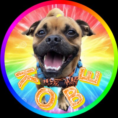 kobethejug's tweet photo. #NewProfilePic https://t.co/AYABtroRtg