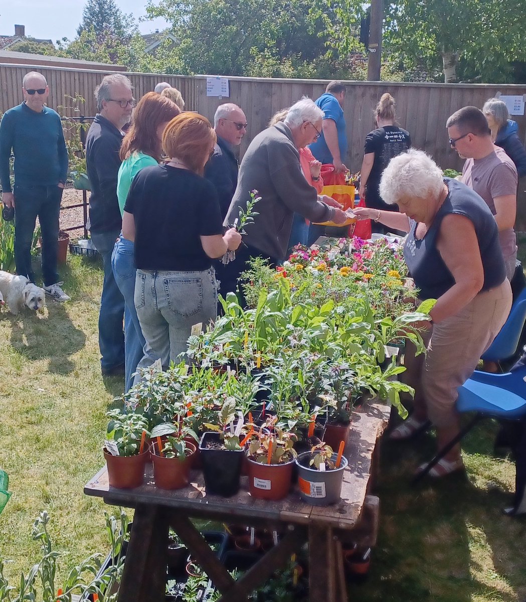 RevGillMorgan's tweet photo. It's been a plant/cake sale kind of day! https://t.co/7ZuYa1Oxnl