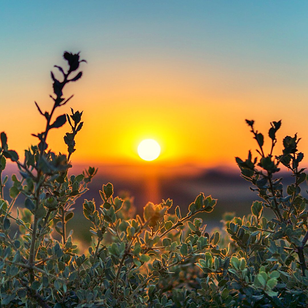 Spring has officially sprung and it's time to stop and smell the flowers! Whether you're taking a leisurely stroll through the park, enjoying a picnic with friends, or simply soaking up some sunshine, take a moment to appreciate the beauty of nature around you. It's the perfect t