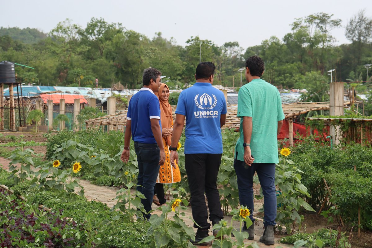 CNRS in Cox's Bazar tweet media