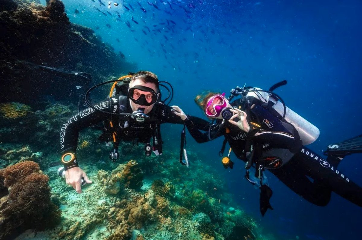 diveSSI's tweet photo. Scuba diving is a fantastic bonding experience for parents and their kids. Who else gets to dive with their children?🧒 👨👩👦
📸@marco.gervasi72 (IG)
#wearessi #familytime #family #bondingexperience #parents #children #divingforkids https://t.co/QkNtrgrHPo