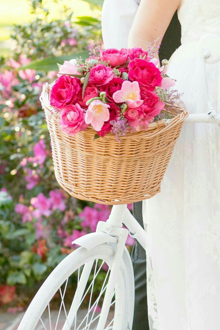 44_asou's tweet photo. رفتارِ نترسِ قهرمانان را داشته باش و قلب مهربان کودک را.

سوین شاکو

صبح بخیر زندگی💐❤

. https://t.co/wGfZZZmexk