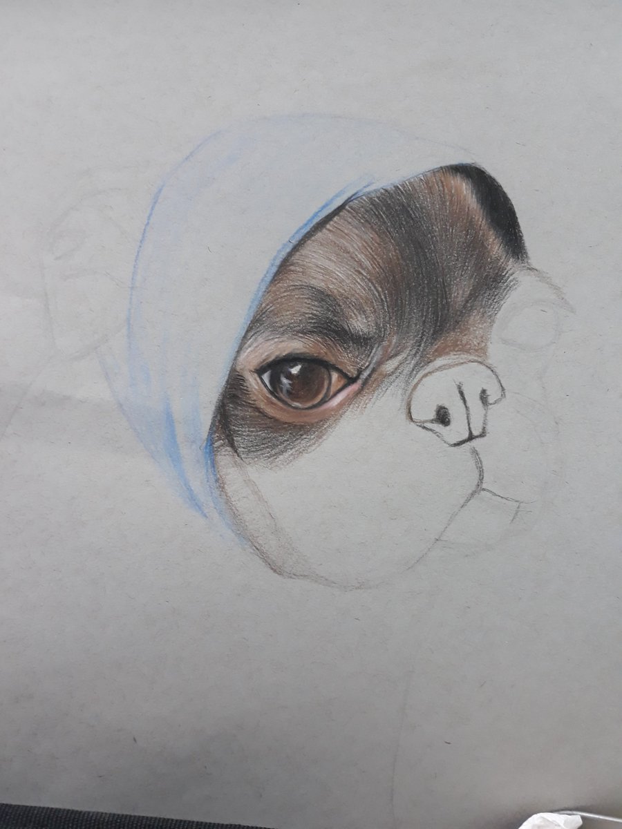 YeonKArt's tweet photo. #art #pets #dog #DogsofTwittter https://t.co/E8iZ9WmbVh