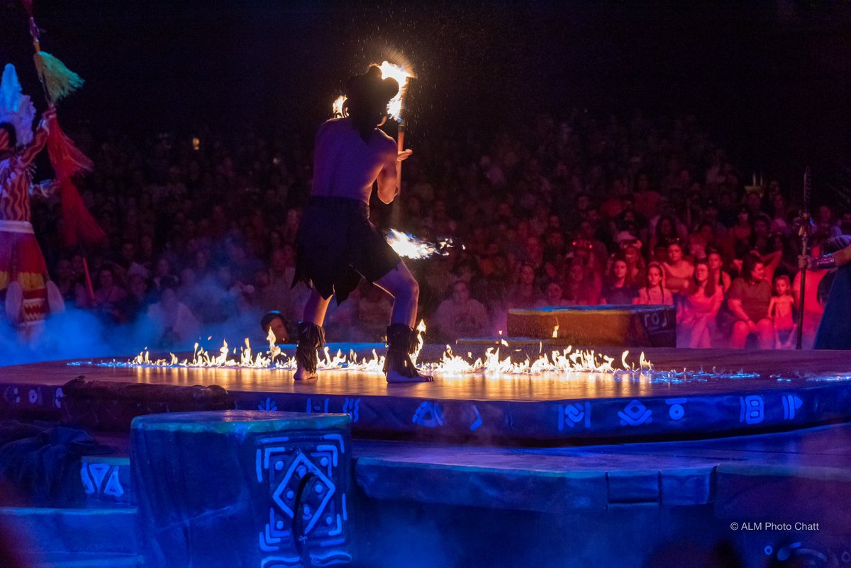 adam_ap_wdw's tweet image. A few pictures from Festival of the Lion King at Animal Kingdom. #wdw #AnimalKingdom #festivalofthelionking #Disney #DisneyWorld #Nikon