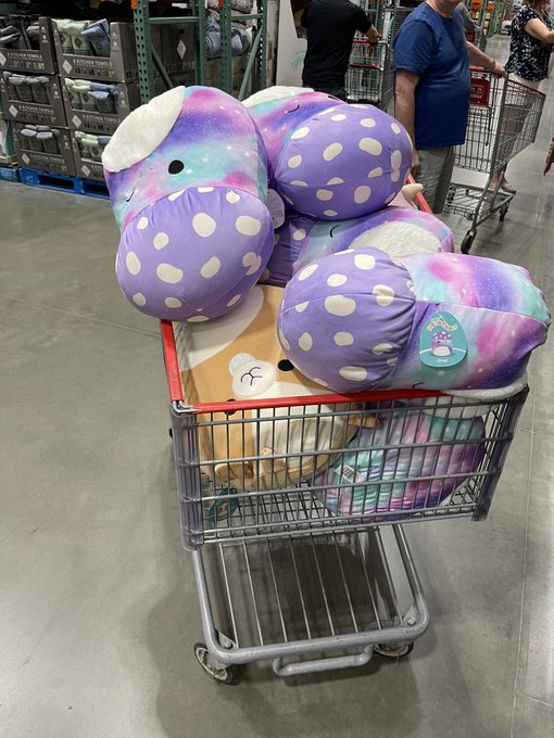 Took my 15yo daughter with me to Costco today. Turned my back on the cart for maybe 20 seconds. https://t<a href="/tag/hiring"class="tags"><span>#hiring</span></a><a href="/tag/remote"class="tags"><span>#remote</span></a><a href="/tag/webdev"class="tags"><span>#webdev</span></a><a href="/tag/remotework"class="tags"><span>#remotework</span></a><a href="/tag/frontend"class="tags"><span>#frontend</span></a>