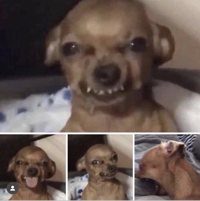 Watch 🎀Dayaanna Perez Sosa🎀's leaked NSFW photo on TwXstars