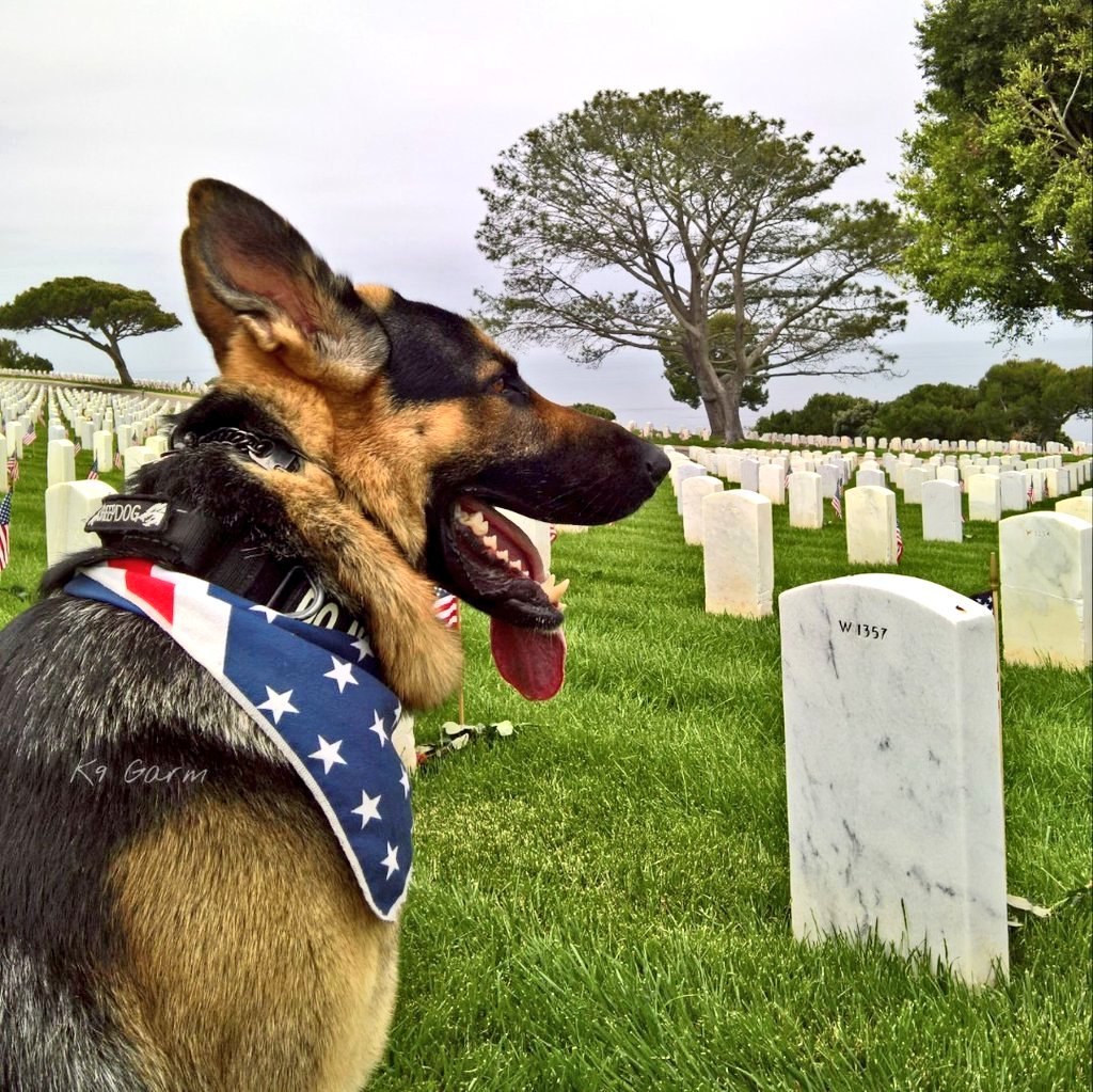 "And they who for their country die shall fill an honored grave, for glory lights the soldier's tomb, and beauty weeps the brave."
#MemorialDay