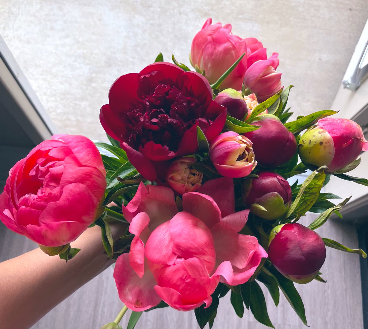 etizzlee's tweet photo. when he gets you your favorite flowers because they’re in season 🫶🏻 https://t.co/1RQwz8Marq