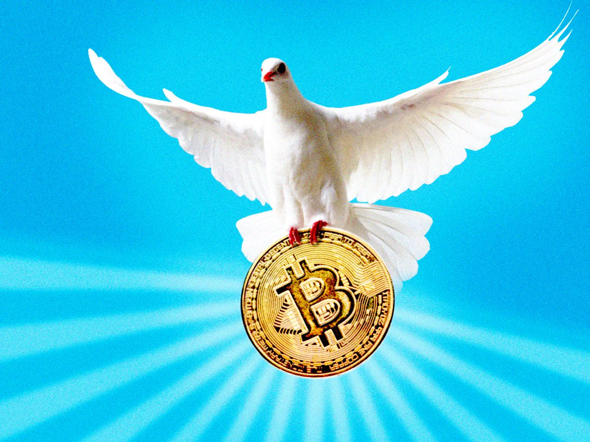 johnmichaeldrew's tweet photo. Amidst global unrest and geopolitical tensions, #Bitcoin silently offers a path to financial peace, transcending borders and fostering unity in an interconnected world. #BitcoinPeace #FinancialUnity" https://t.co/gN2nTu8ulL