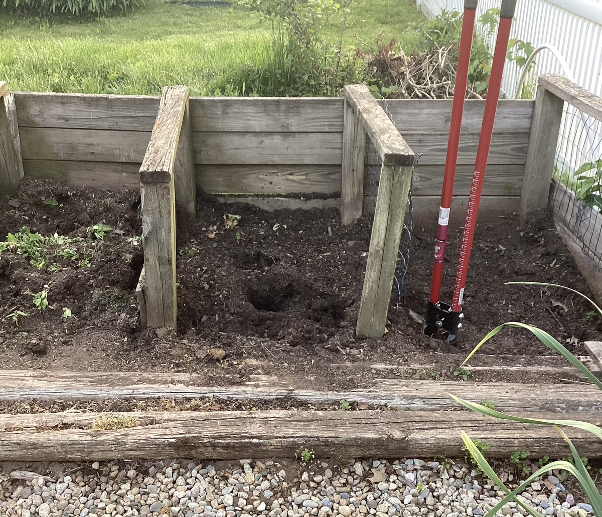 bkaydw's tweet image. We have been composting for &amp;gt;20 years, 3 stage turning and watering, and then using it in our raised beds…only plants, not animal bones/fat…it’s an easy habit to form, and definitely “feel good”…and it is great soil!
#StewardsofEarth 
#ONEV1 #wtpBLUE