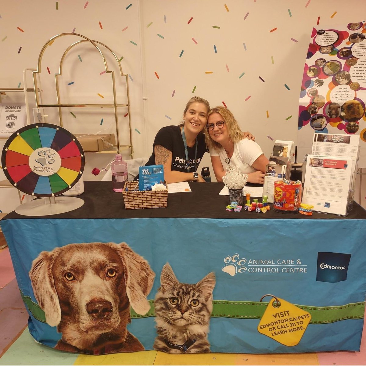 The cutest day at our Cat Pawty  hosted at Majesty &amp; Friends for #YEGCatFest Week presented by <a href="/homesalivepets/">Homes Alive Pets</a>! 🐾 Kitty cuddles with Furget Me Not, fun with <a href="/CityofEdmonton/">City of Edmonton</a> Animal Care &amp; Control, shopping cat items at our Mini Market &amp; MORE! Thanks for showing up, 🐱lovers! #yeg