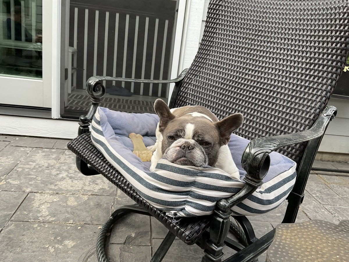 tiredofitall48's tweet photo. Change of scene. #IKYKIK #springtimeinchicago #stillfireseason @millerhighlife #Champagneofbeers https://t.co/vwo1daOdXQ