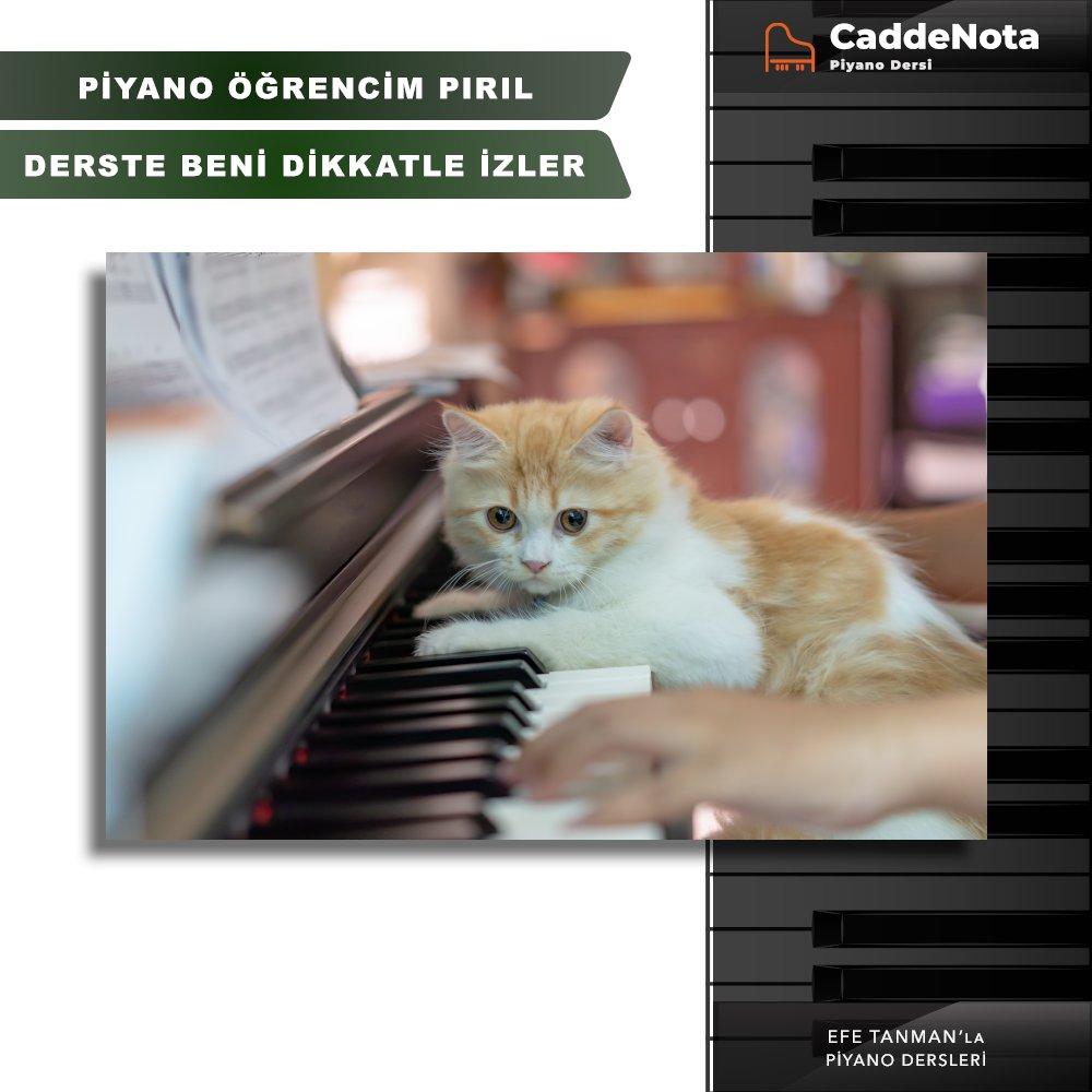 🔸Dikkatli olabilmek için de mutlaka yavaş çalışmalıyız⚠️
🎶
#piyano #piano #piyanist #pianist #efetanman #caddenota #hobi #instapiano #online #müzik #nota #klavye #catstagram #cat #kedi #onlineeğitim #solfej #müzisyen #grinkovalse #evgenygrinko