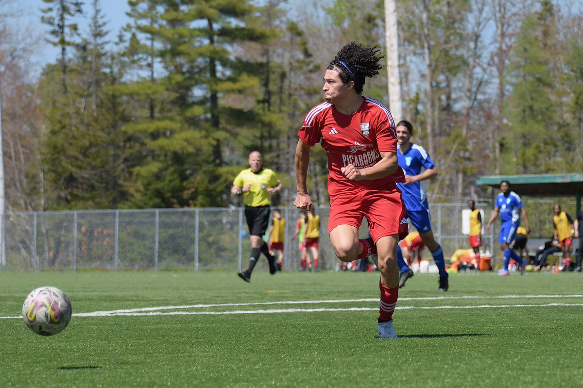 DW Photo tweet media