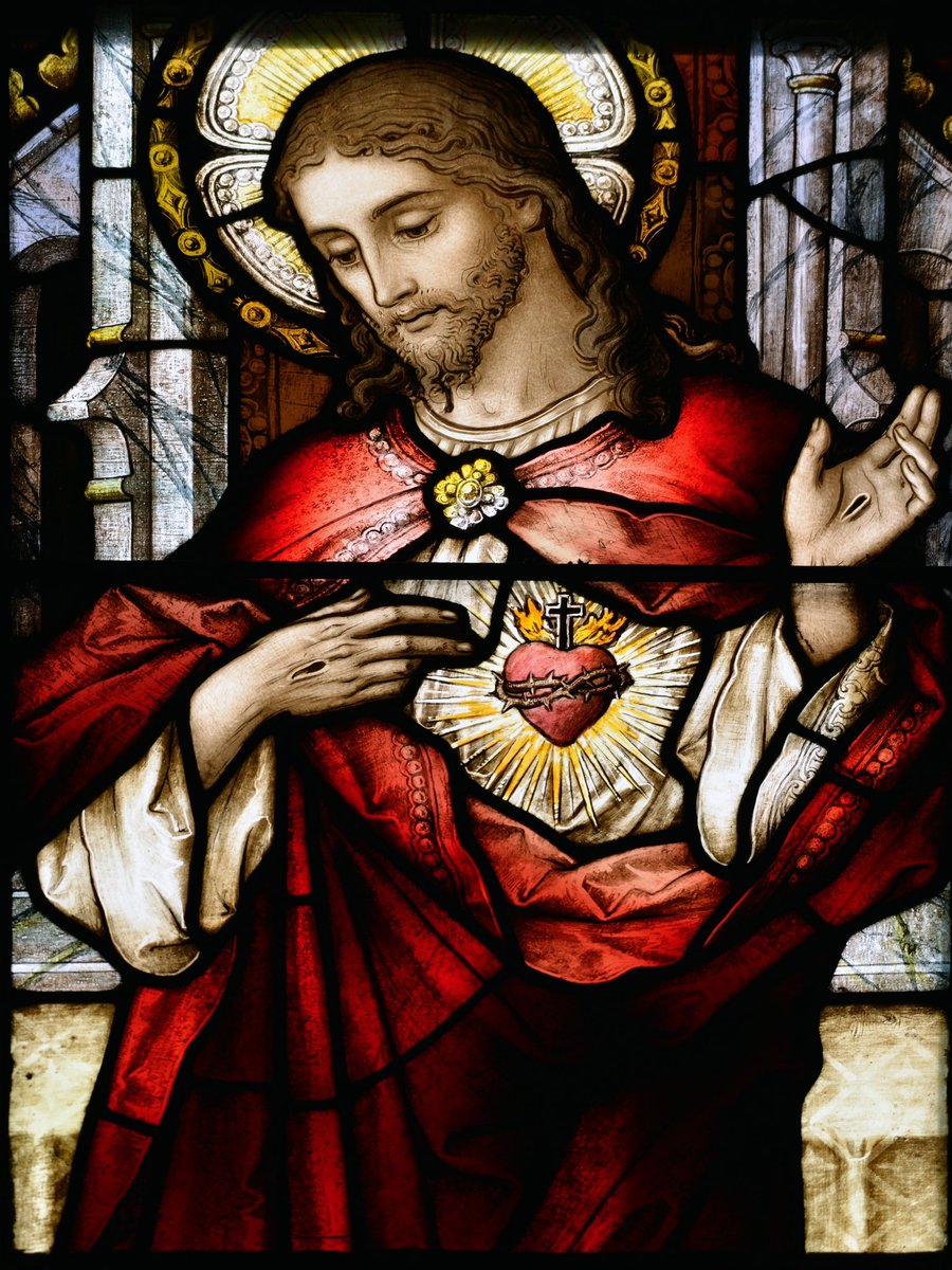 Sacred Heart of Jesus, guide and protect us. Amen