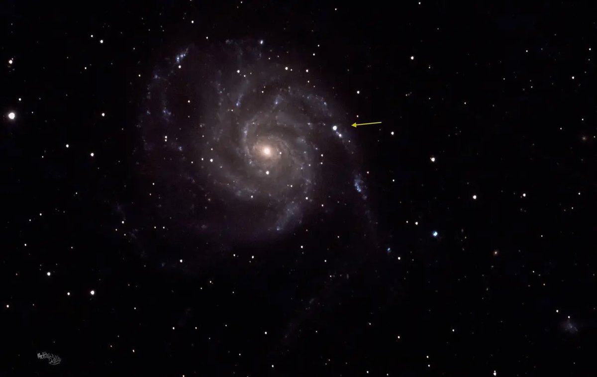 MarsTorus's tweet photo. #supernova #m101 photo taken in the Burren Co.Clare https://t.co/dMpuwxX5LU