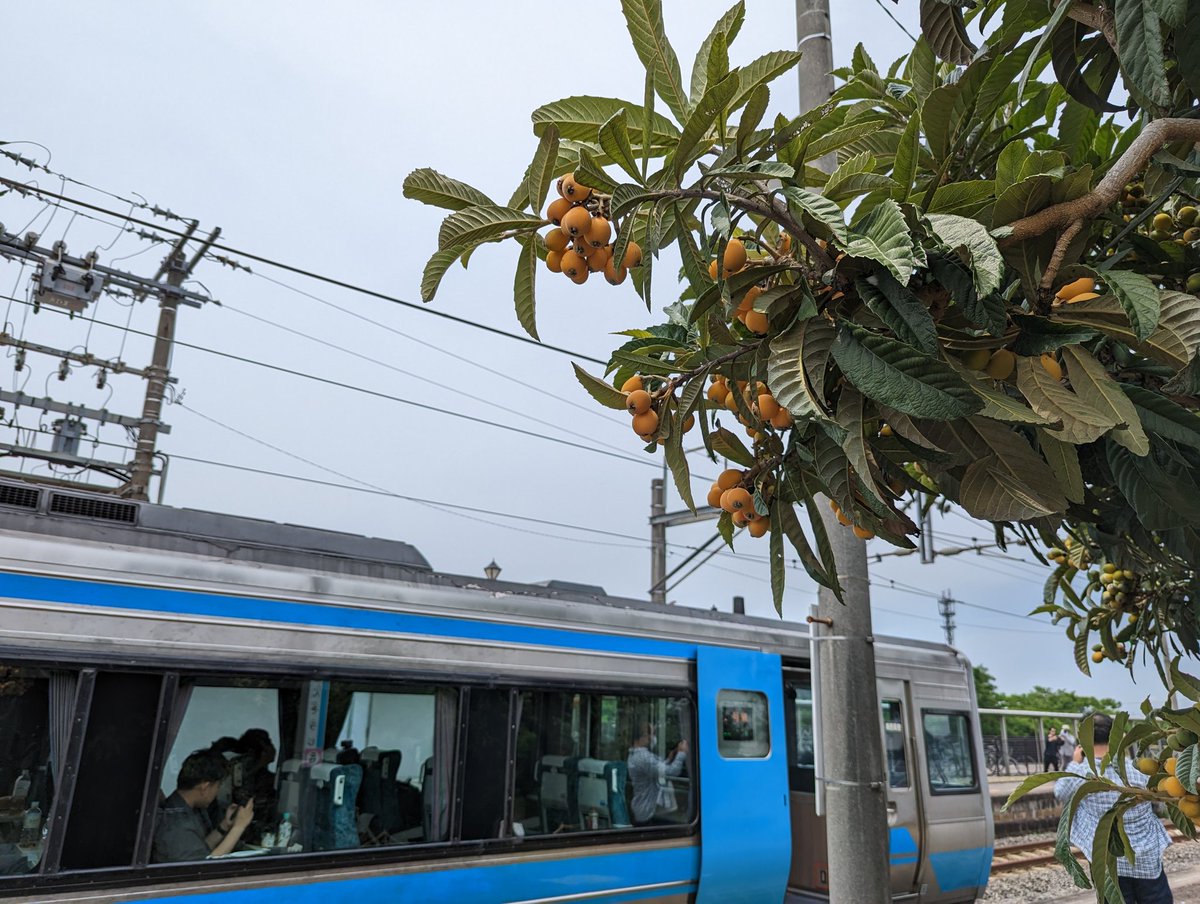 JRshikoku_wkama's tweet photo. Remember2000系南風ツアー、管理用通路から撮影体験にご参加のお客様、一日お疲れ様でした🫧
後輩2700系にも負けないかっこよさと堂々とした走り!!堪りませんね😭
ご協力いただきました乗務員、JR西日本の皆様ありがとうございました(◍•ᴗ•◍)
#瀬戸大橋線35周年
#Remember2000 https://t.co/zkqSTXUlGS