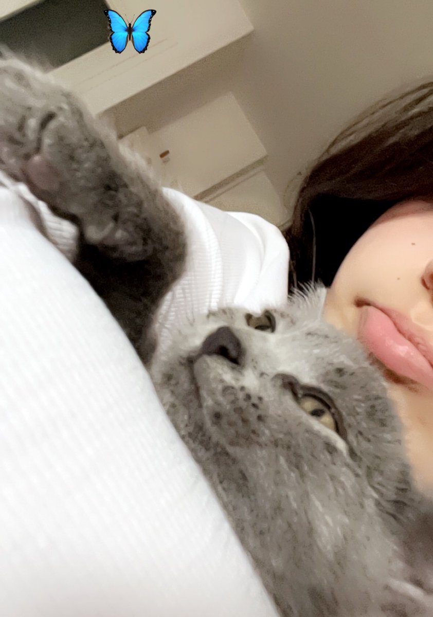 bubblefllu's tweet photo. DUMP MAY<3 https://t.co/KiCTSBgtuQ