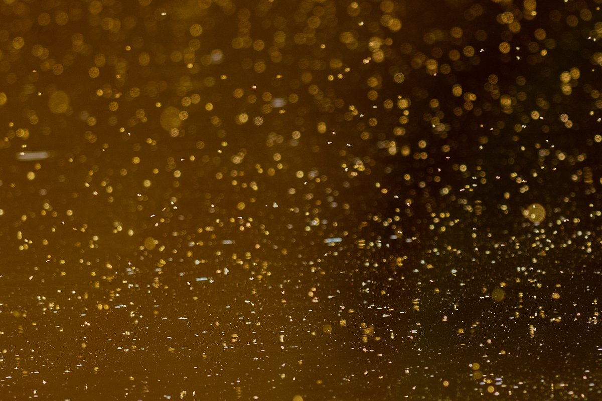 APP_Photo's tweet image. Holiday weekend apparently but the thought of airports and festivals still make feel like this #toopeopley #toomanypeople #midgies