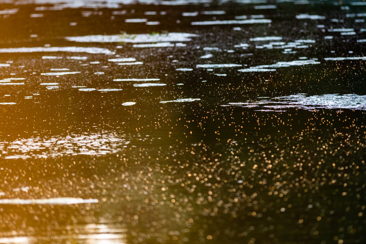 APP_Photo's tweet image. Holiday weekend apparently but the thought of airports and festivals still make feel like this #toopeopley #toomanypeople #midgies