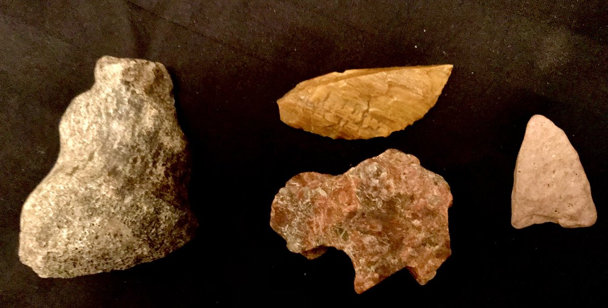 colbyfitch's tweet photo. I found a nice variety of “feel goods” today. Including a HUNK of petrified wood at 25 lbs. plus a hand carved Buffalo and a beautiful spear/ tip. #CoWx https://t.co/NTbpHNuajg