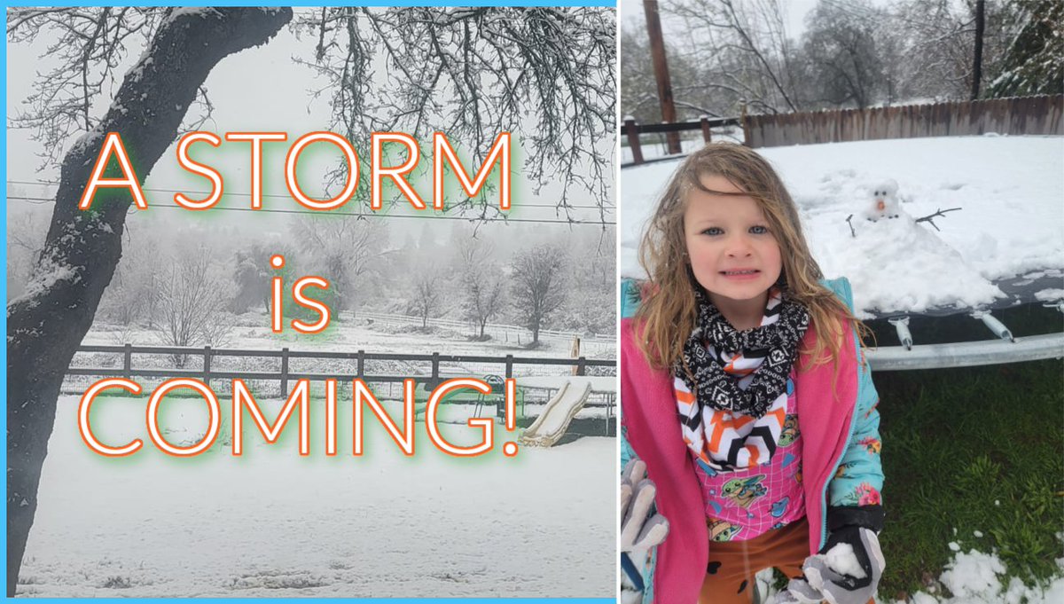 TLifeDailyVlogs's tweet photo. *New vlog*
A STORM is COMING!
https://t.co/fynfB1XMXR https://t.co/zUV9xeoyQF