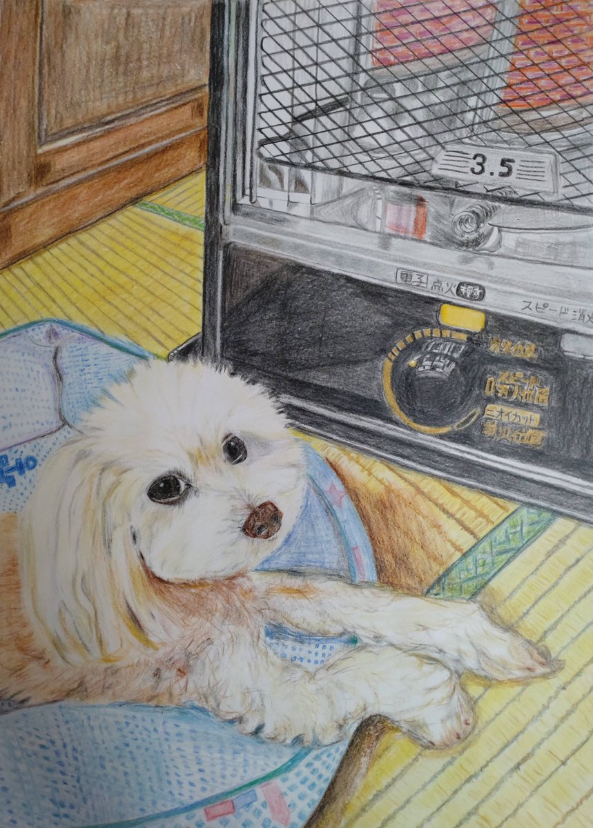 昨年の８月に病院で描いた、色鉛筆画第一作です（再掲）三菱880色鉛筆36色で描きました。 ワンコ、ストーブ乗っ取りの図（Kyokuto画用紙、B4） #色鉛筆画　#ワンコの絵　#犬の絵　#三菱色鉛筆