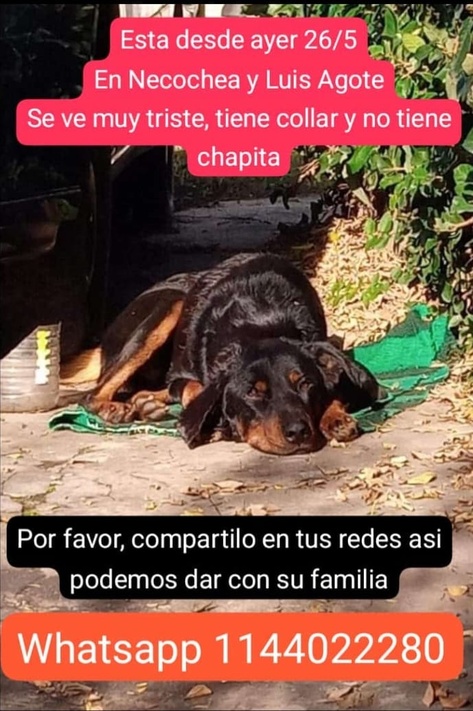 CeleQuipi's tweet photo. Es Quilmes oeste barrio el dorado!!! https://t.co/zgvzjV0z3d