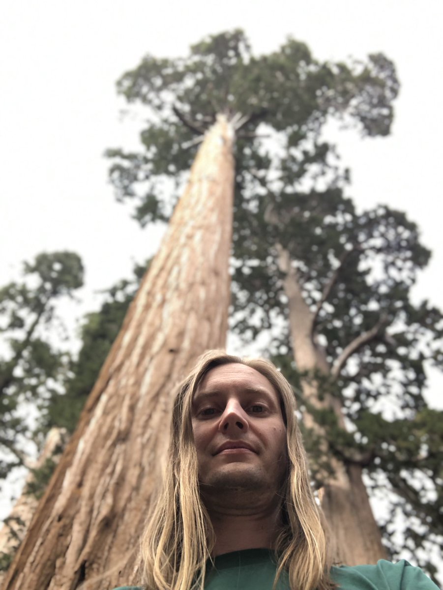 Sequoia Kings NP. God I love central CA.