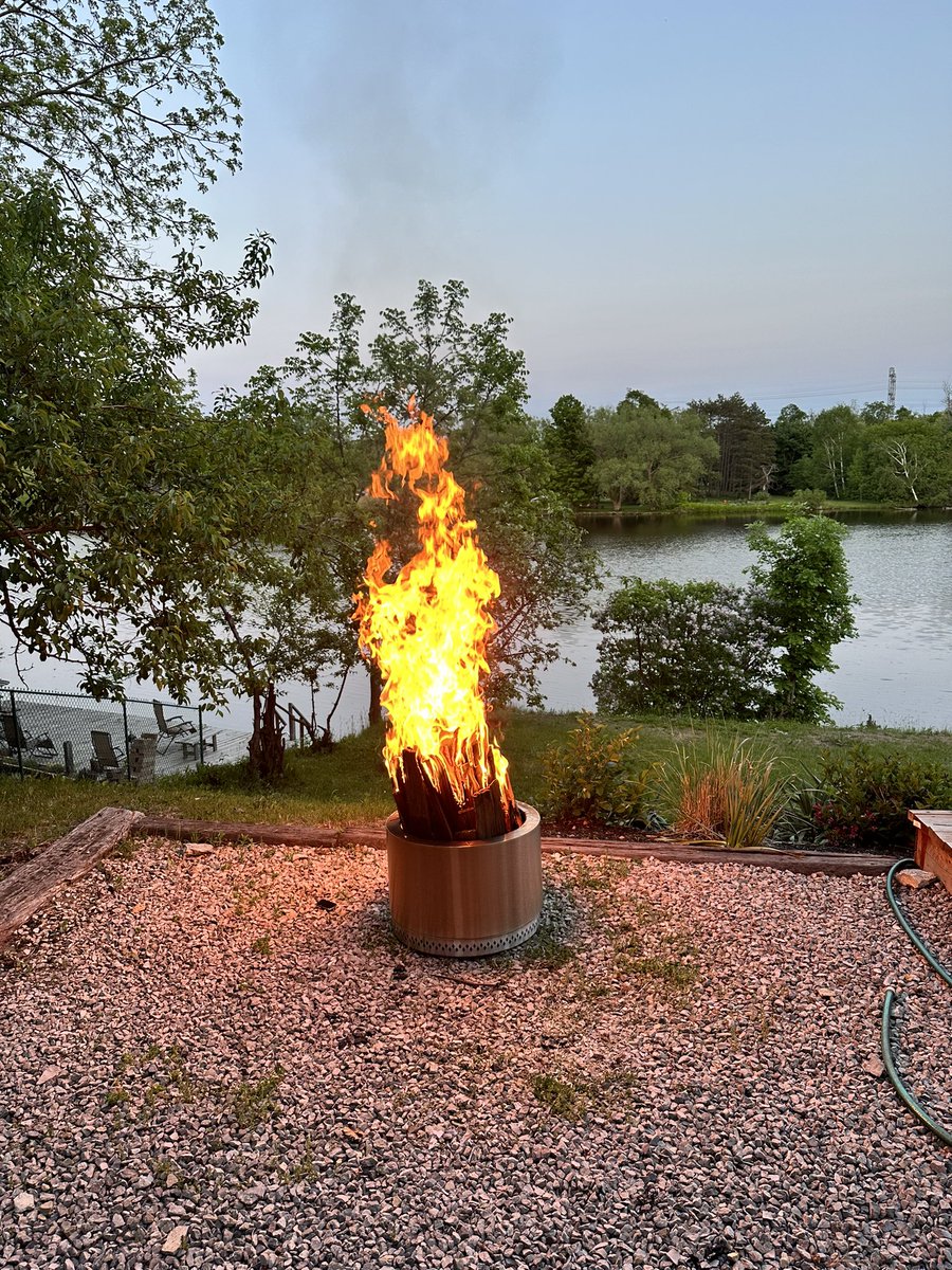 Taylor 🍕 tweet media