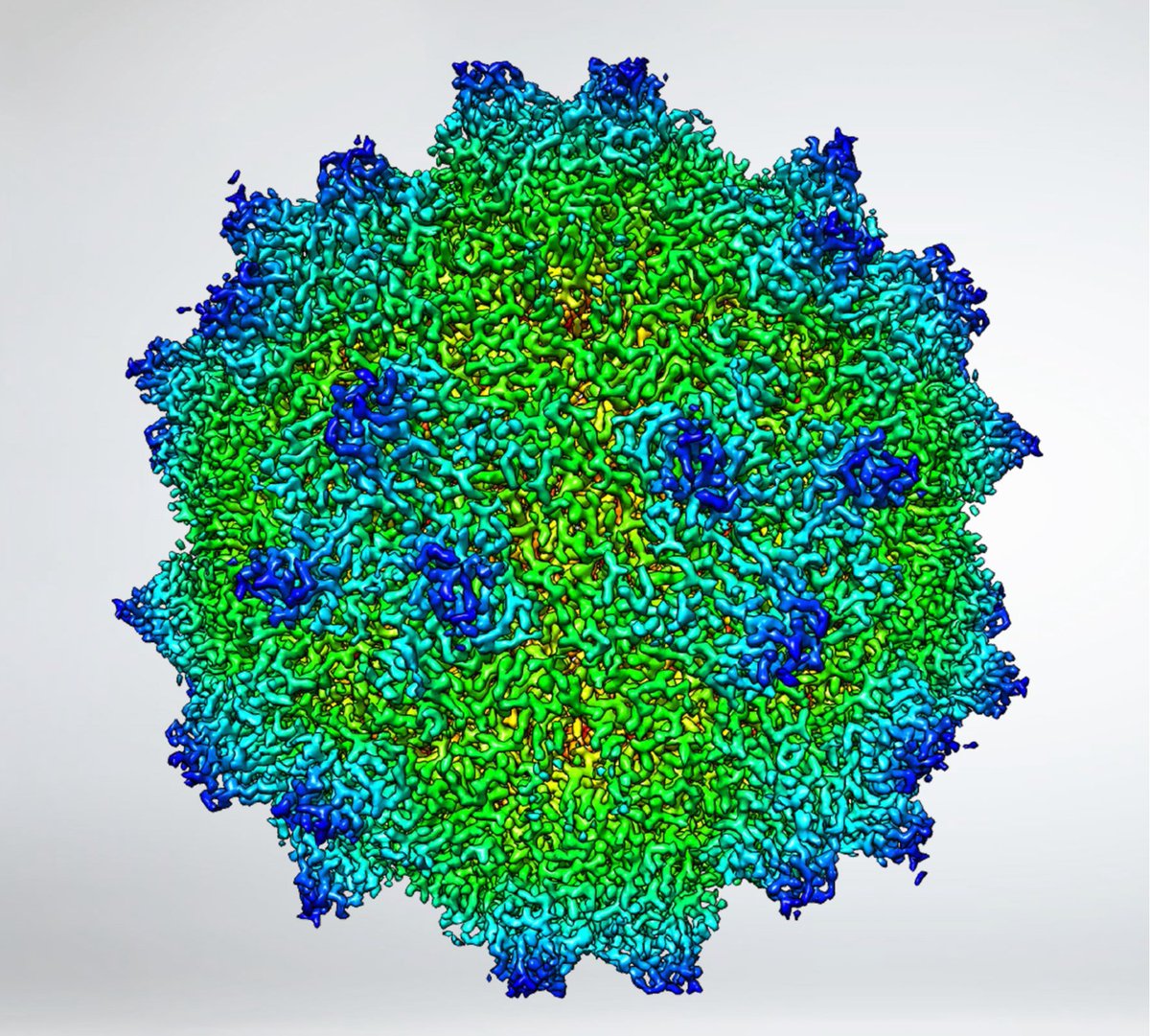 🗓️ June 02!

Join us for a virtual workshop on sample optimization &amp; structure determination using #cryoEM: ter.li/grlbtx

✅ Master sample optimization &amp; structure determination
✅ Explore cryo-EM's impact on AAV therapies
✅ Gain insights into cryo-EM instrumentation