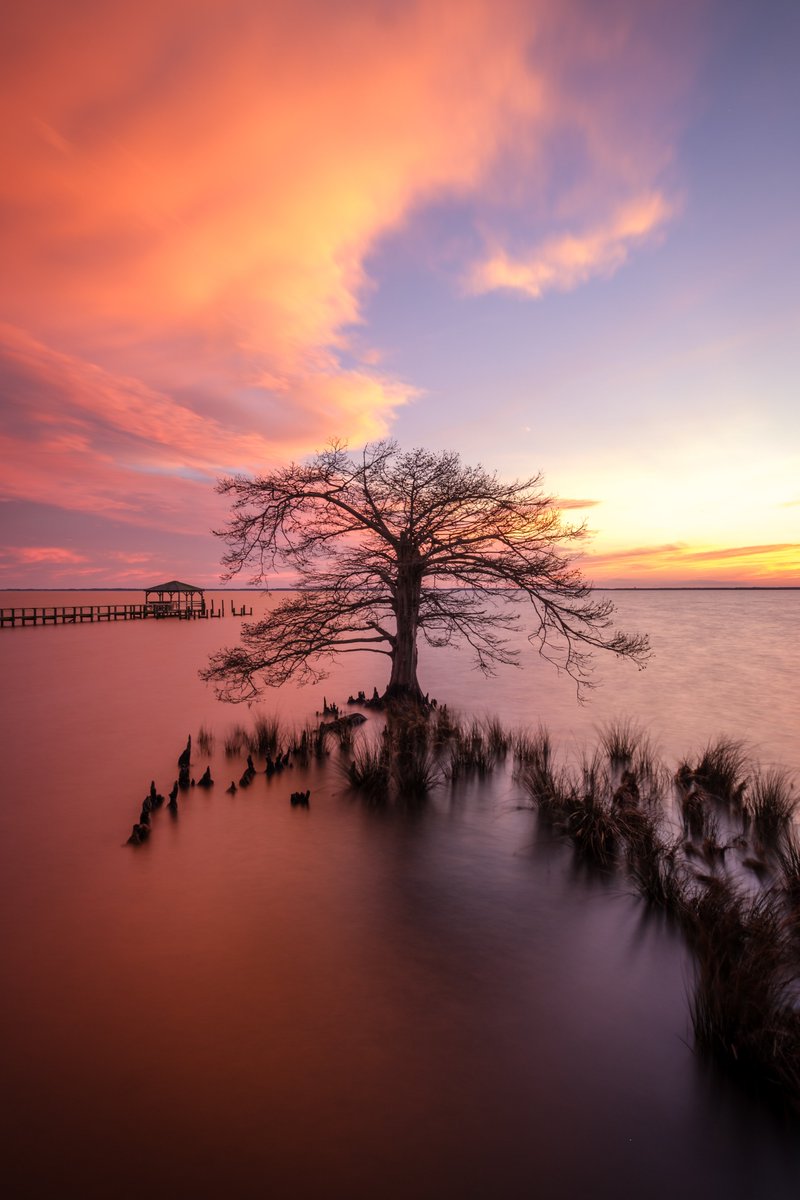 @admired_art Currituck Sound off Duck, NC  #DuckOBX