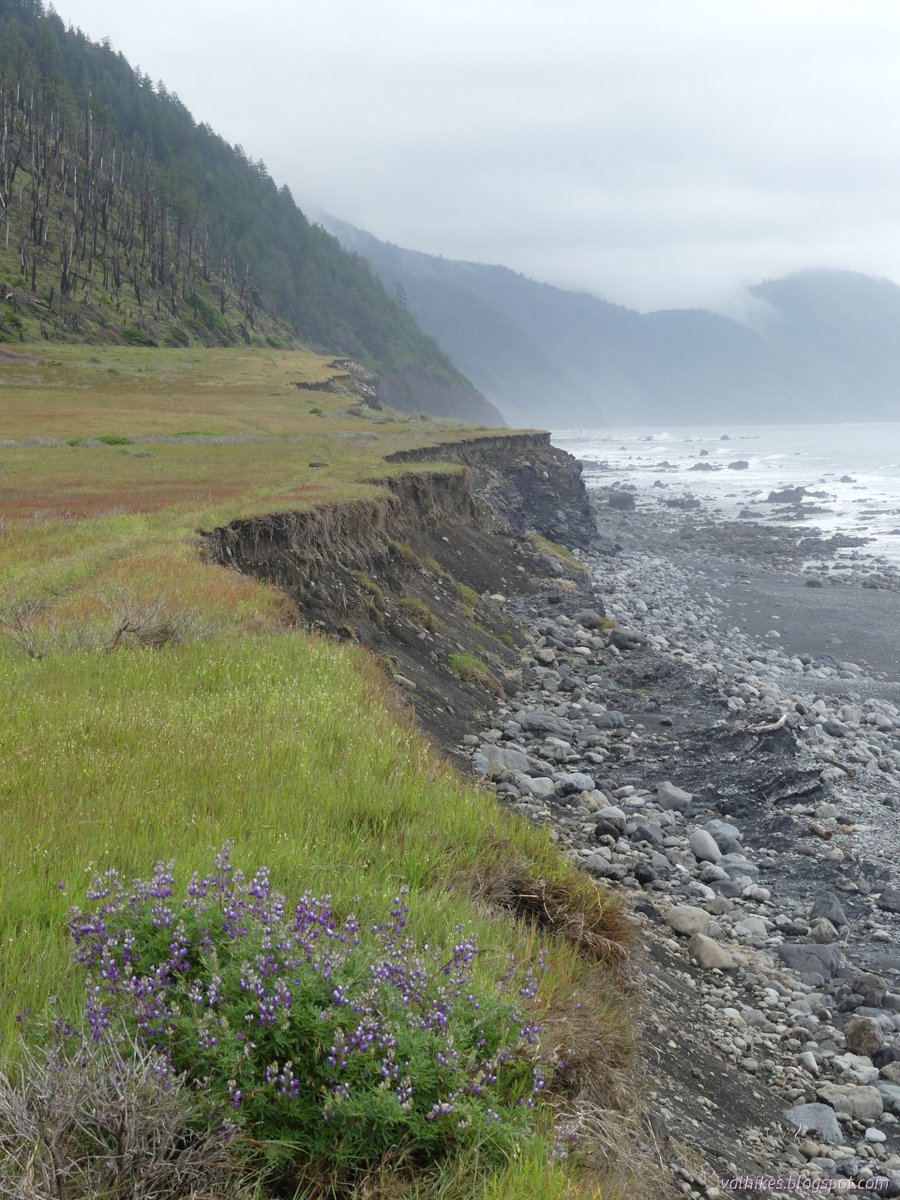 hikingchemist's tweet photo. Day 3 on the #LostCoastTrail started cold, but the overnight storm had finished and sun was coming for the finish of the hike on the #beach. https://t.co/FHGM40qinW
#hiking #backpacking #trekking #walking #California #nature #ocean #NaturePhotography #KingRange https://t.co/ZI2oqBlxvy