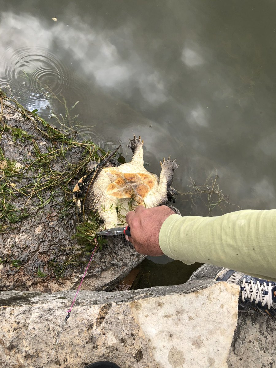 Mack3773Prind2's tweet photo. @JoeySantore That is bigger than the one I caught on my fishing pole. https://t.co/KyVsCfEfz8