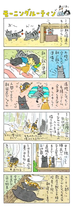「朝活」 ご飯の準備・身だしなみ・健康管理。 あわただしい一日の始まり。 寝るのももちろんお仕事です。 (久保智昭さんの「猫色スケッチブック」)つづきはこちら⇒