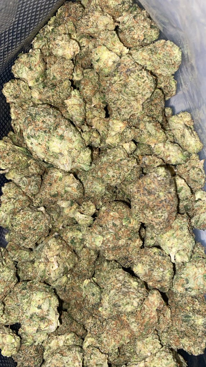 DaytonaGasMan's tweet photo. 🔥$160 ounce🔥 
    GMO INDOOR
      CALL/TEXT BIO 4 🚗
#daytonaweed #orlandoplug #orlandoweed #orlandotrees #orlandogas #orlando #kissimmeeweed #idriveweed #disneyweed #orlandobud #weed #orlandostoner #ocoeeweed #kissimmeebud #weednearme #budorlando #davenportweed https://t.co/lmPUzWxiCA