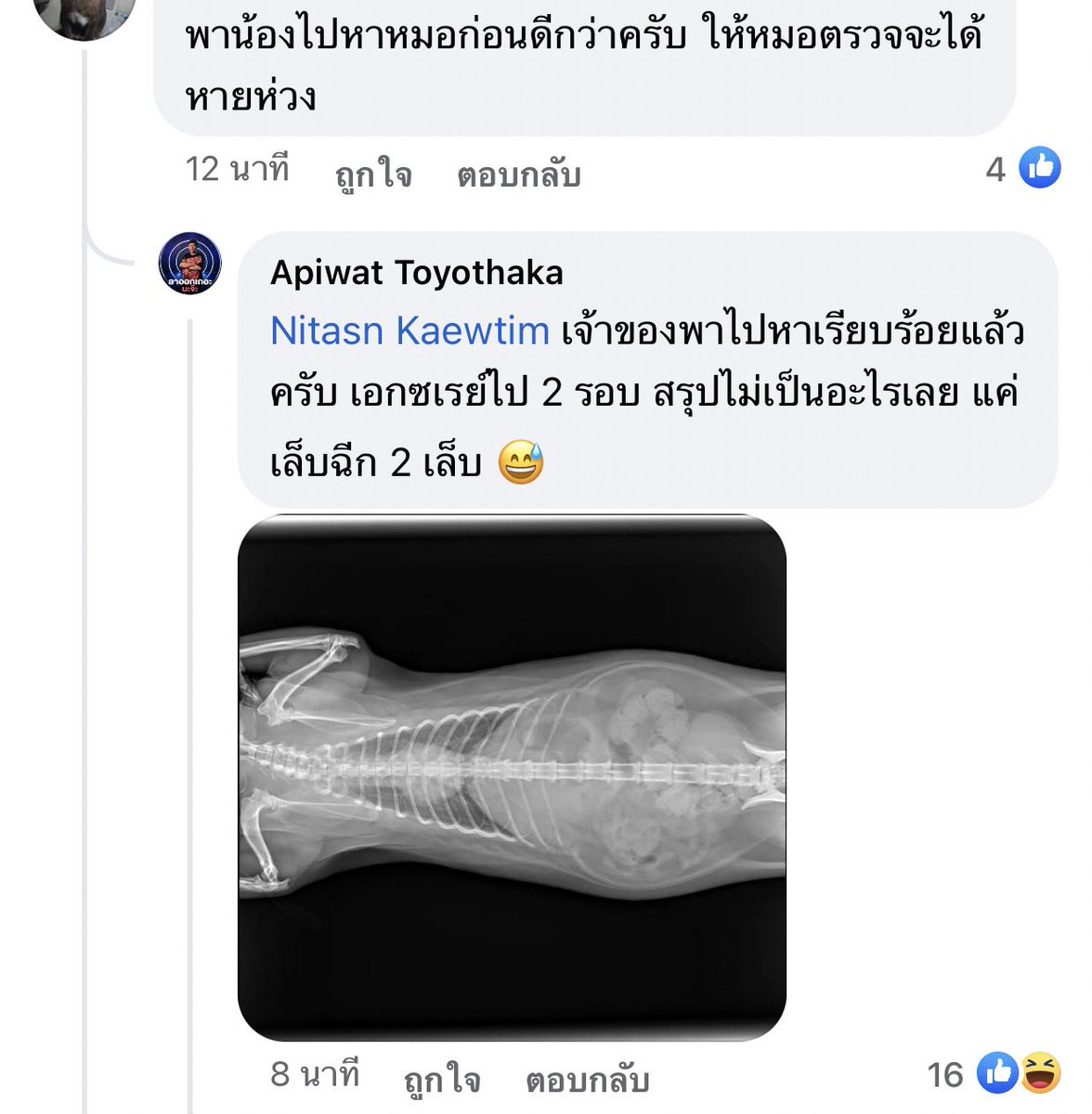 คยอง🐧ลิซ🐤 tweet media